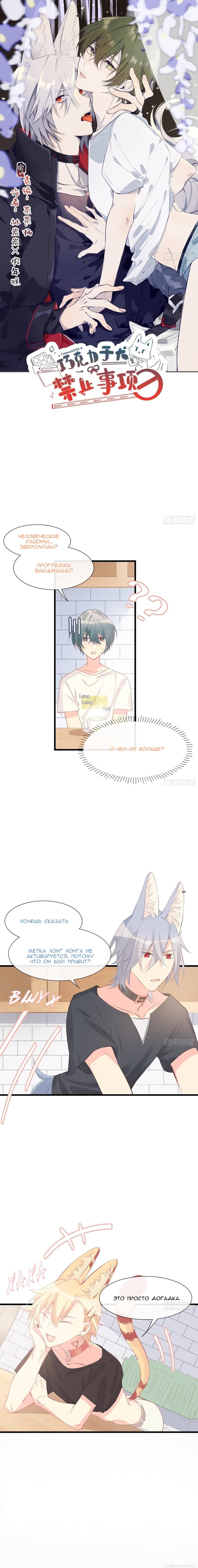 No Choco for Doggo (Шоколад и собаки несовместимы!) - Том: 1. Глава 25 0