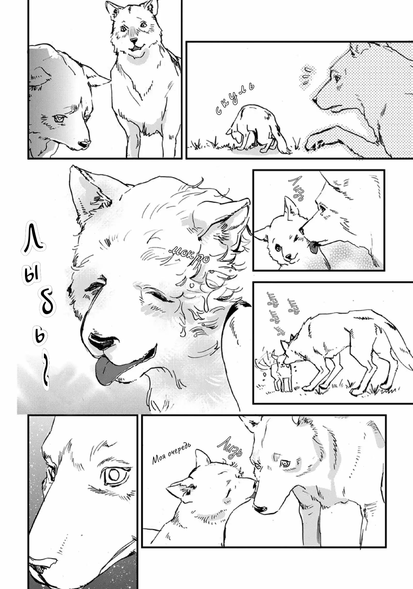 rén de na i láng (Он волк-оборотень) - Том: 1. Глава 4.5 3