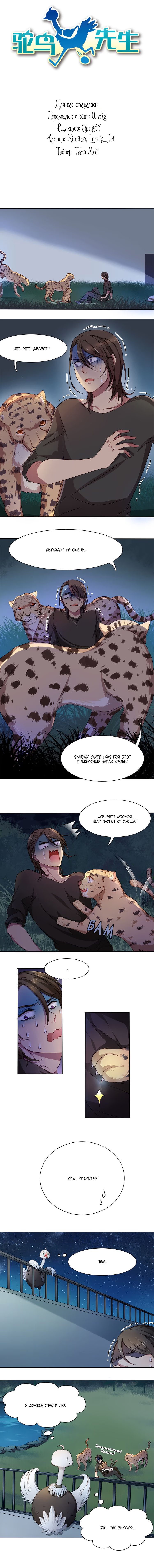 Mr. ostrich (Господин (африканский) страус) - Том: 1. Глава 7 0