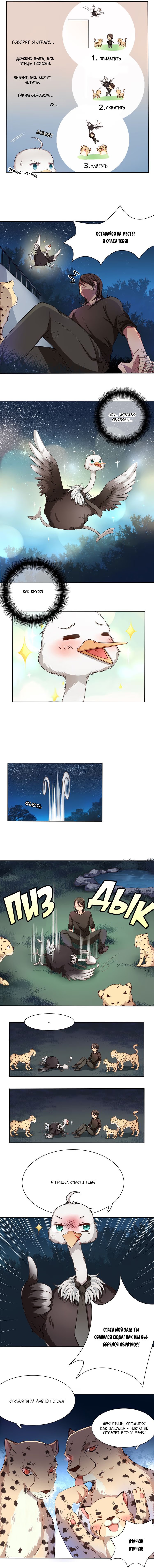 Mr. ostrich (Господин (африканский) страус) - Том: 1. Глава 7 1